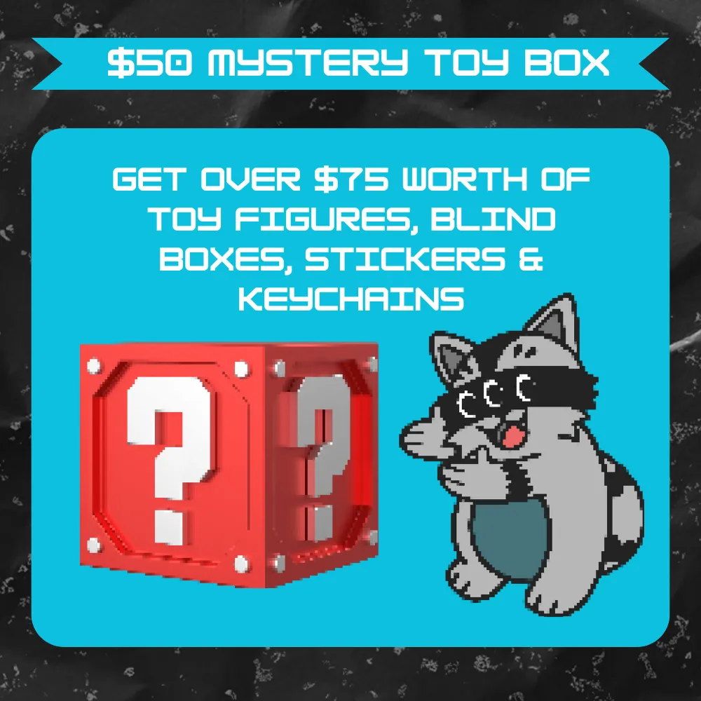 BLACK FRIDAY CYBER MONDAY Mystery Toy Box