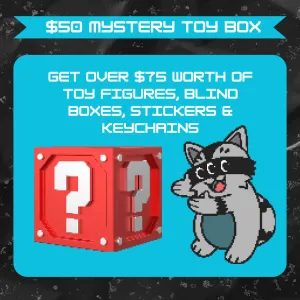 BLACK FRIDAY CYBER MONDAY Mystery Toy Box