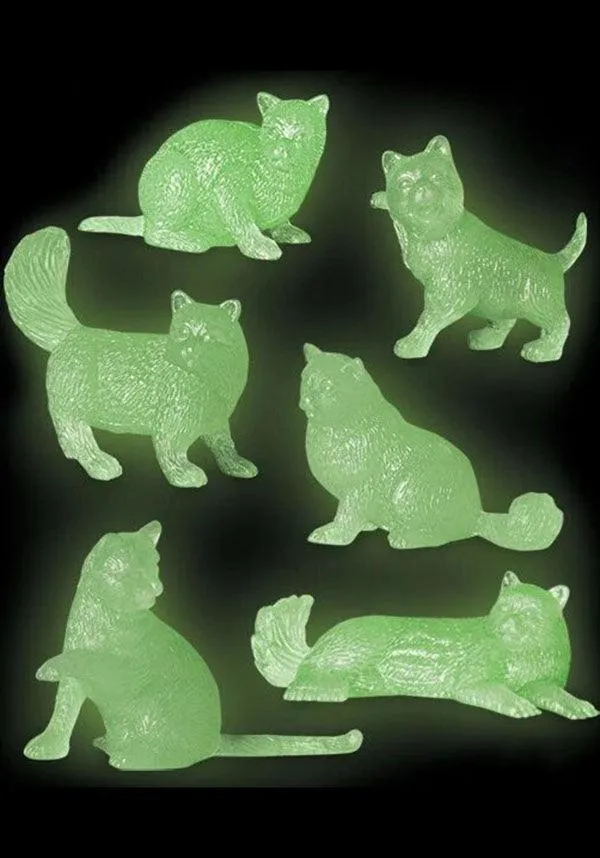 Glow | CATS
