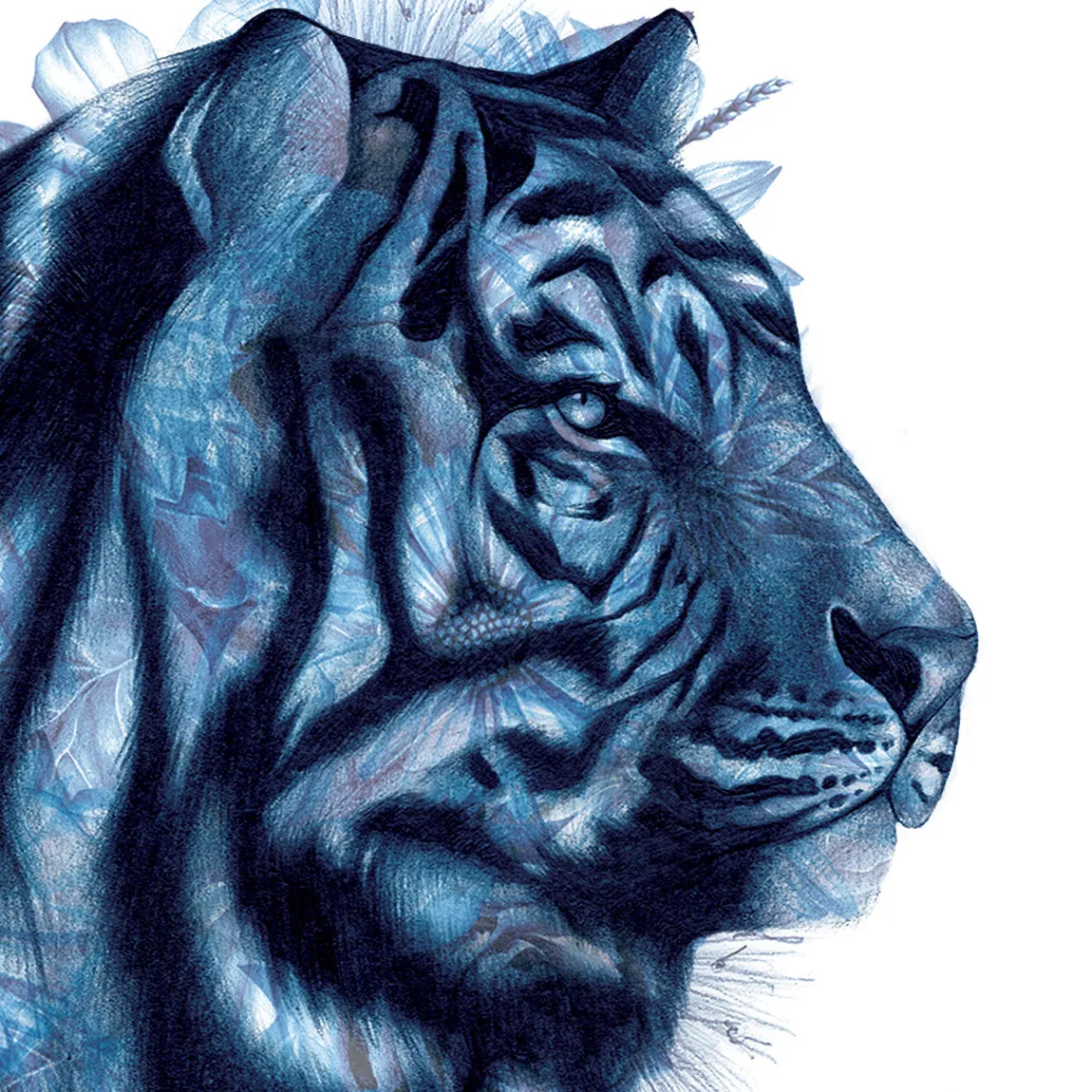 ZSL Tiger Art Print