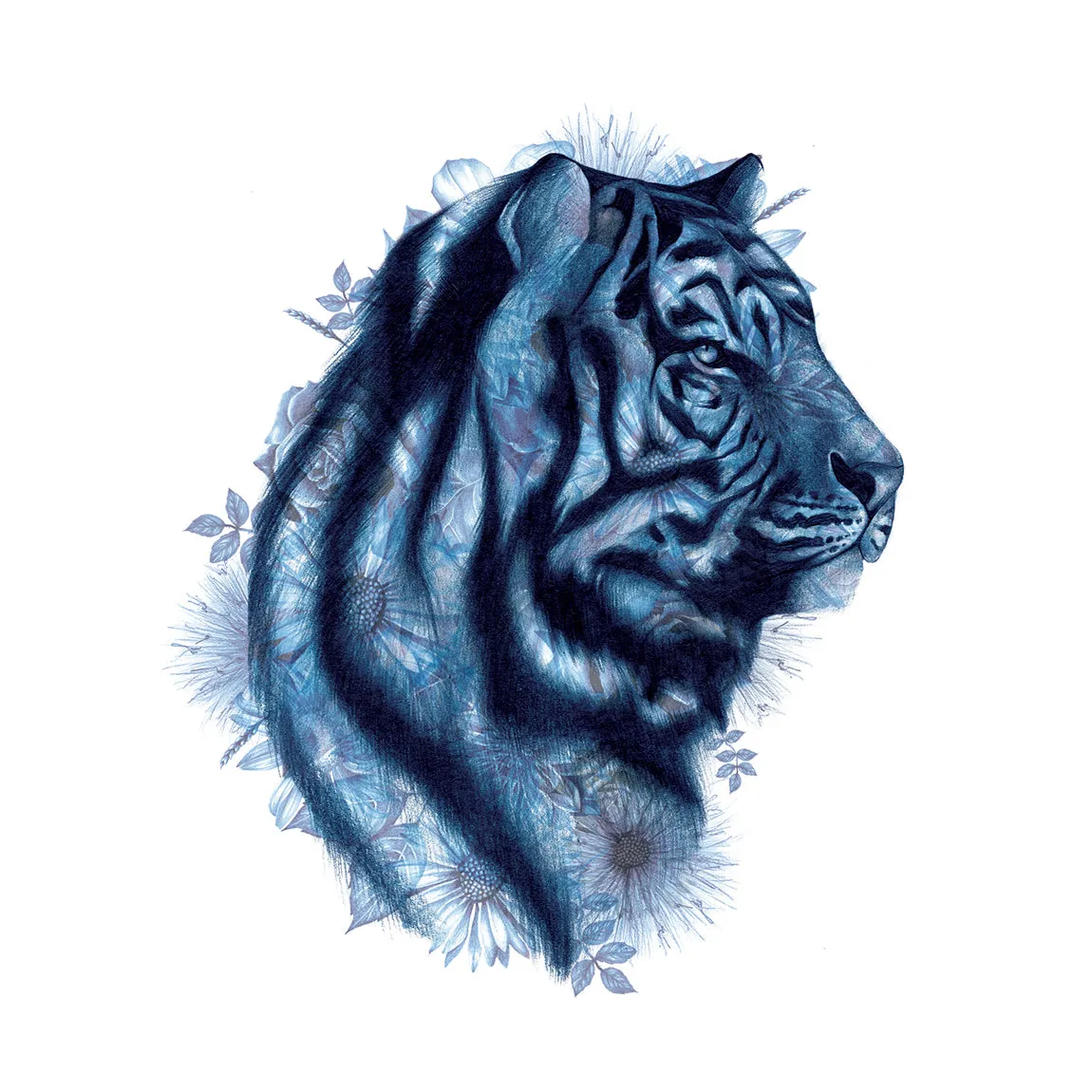 ZSL Tiger Art Print