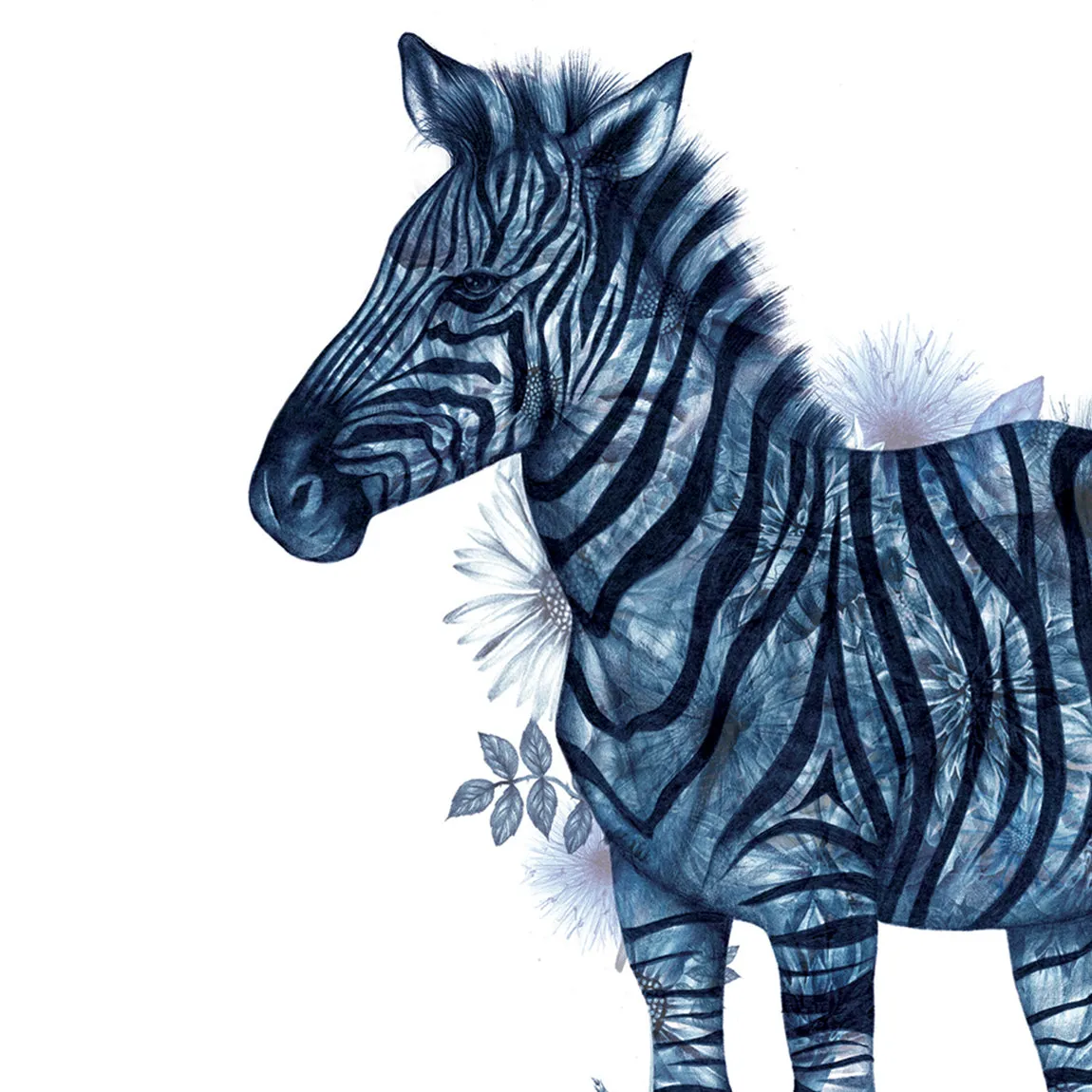 ZSL Zebra Art Print